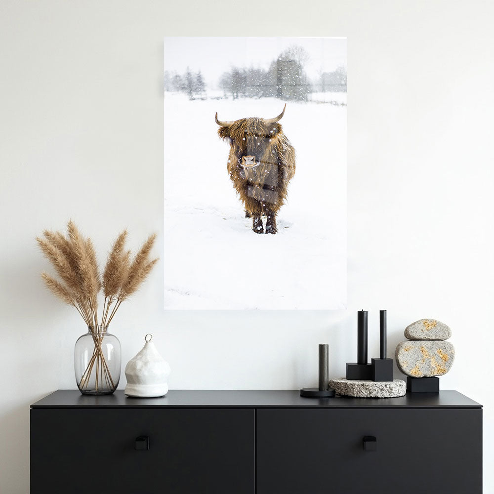 glasschilderij snowflake hooglander muur