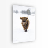 glasschilderij snowflake hooglander voorkant