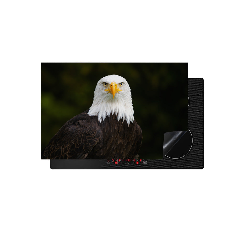 inductiebeschermer amerikaanse zeearend bovenaf