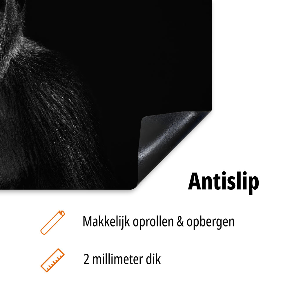 inductiebeschermer aap antislip informatie