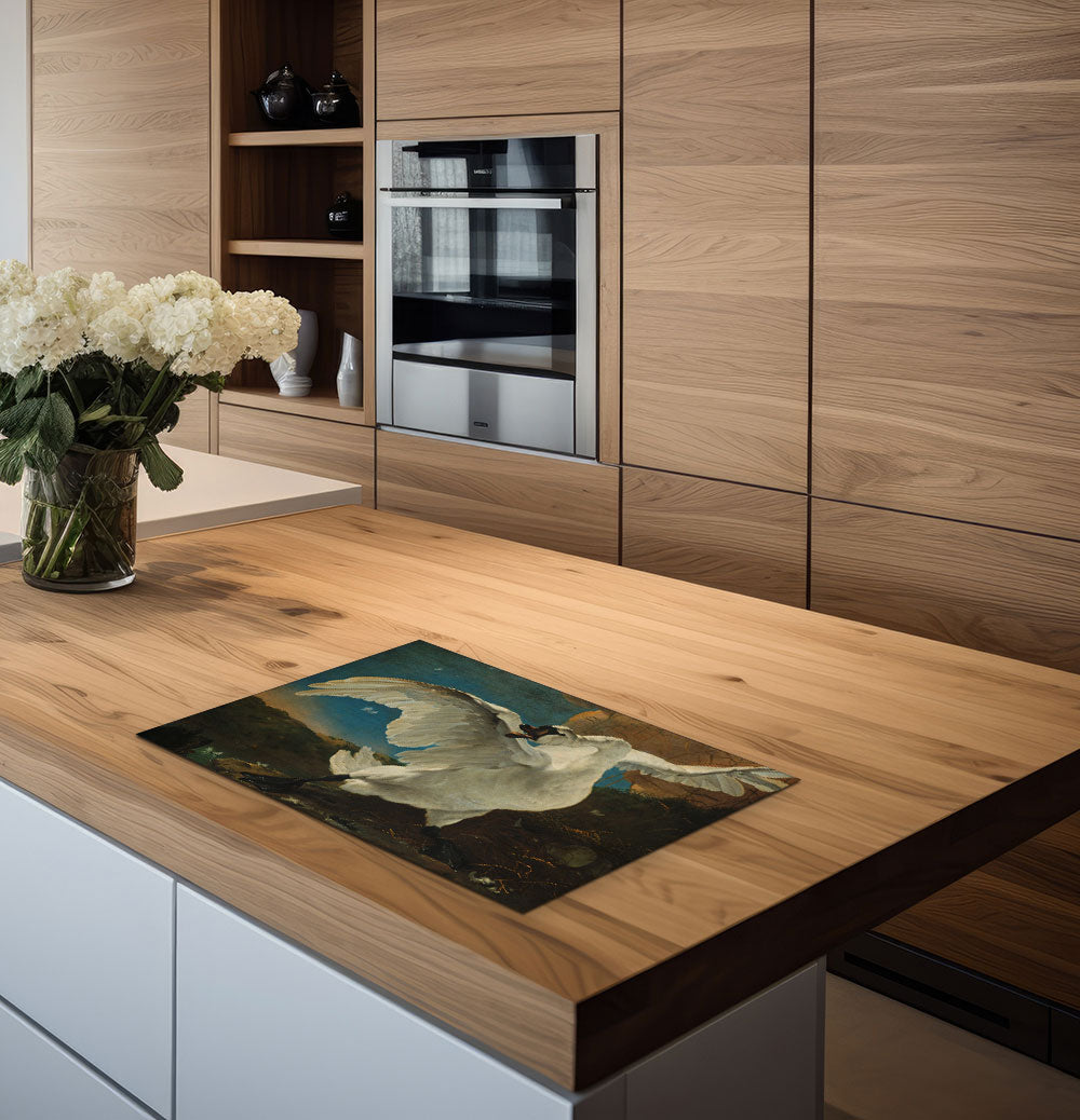 inductiebeschermer bedreigde zwaan keuken 2