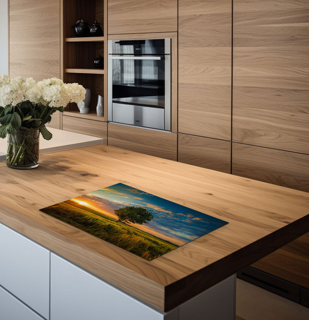 inductiebeschermer boom in de weide keuken 2