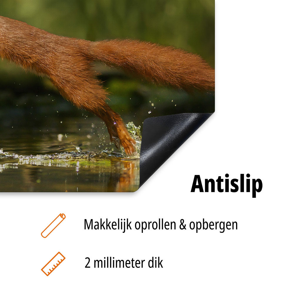 inductiebeschermer eekhoorn met noot antislip usp