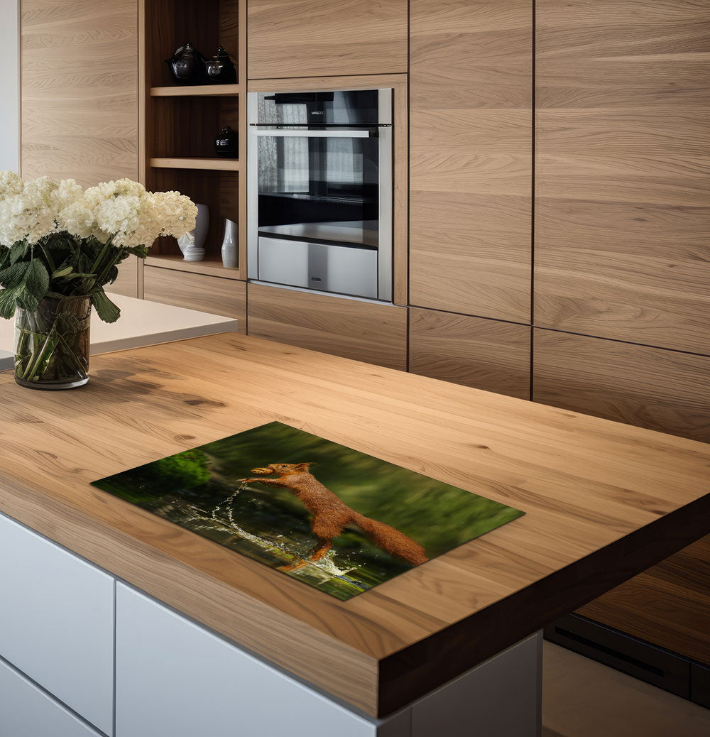 inductiebeschermer eekhoorn met noot keuken 2