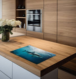 inductiebeschermer haai keuken 2