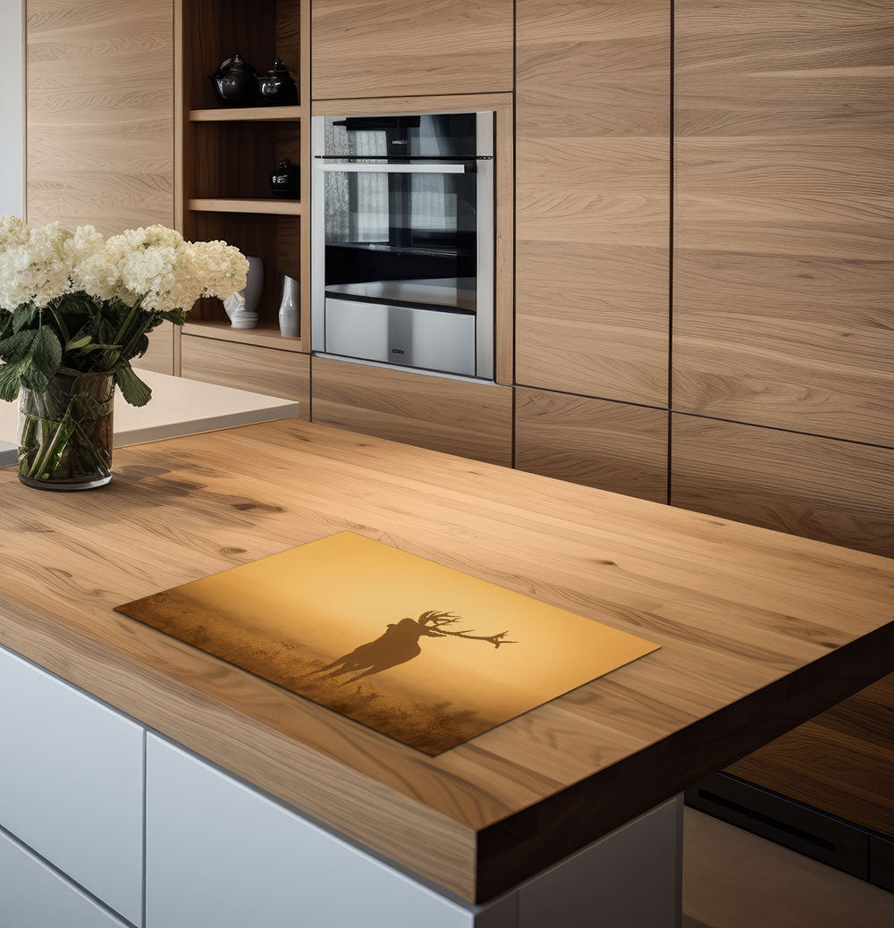 inductiebeschermer hert bijzonsondergang keuken 2