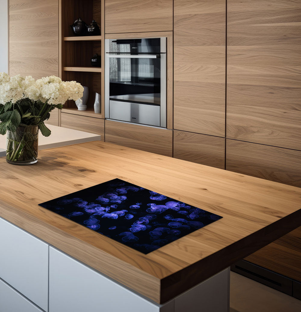 inductiebeschermer kwallen keuken 2