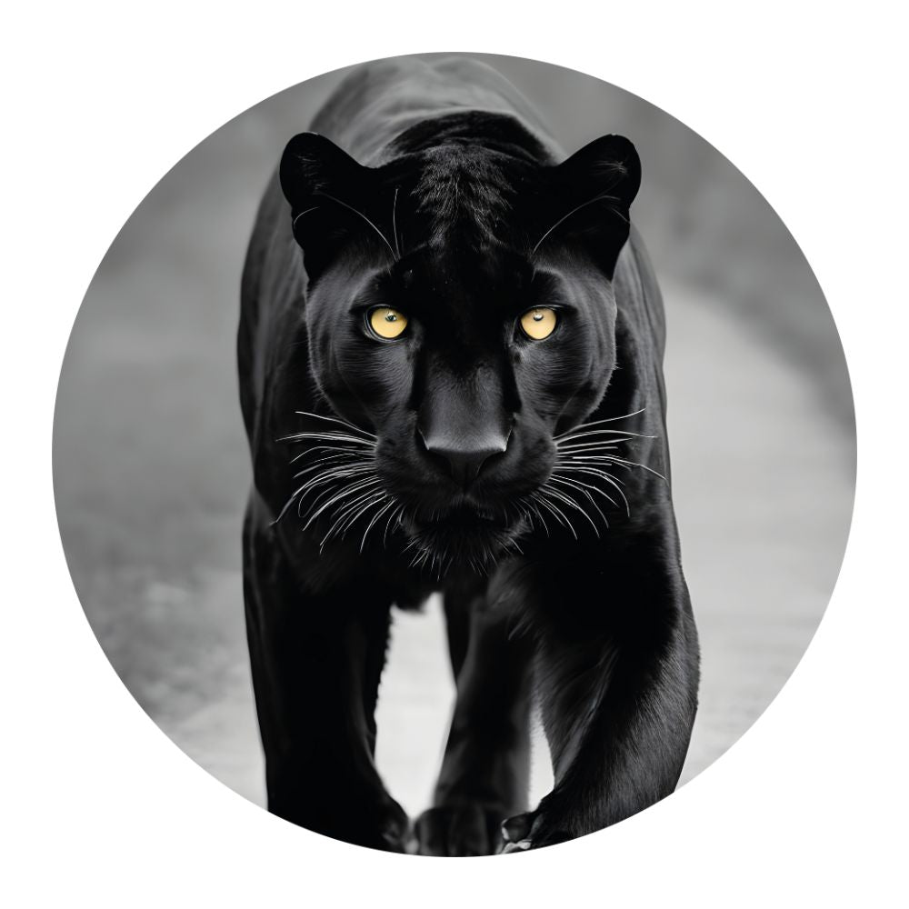 muurcirkel-zwarte-panter-gele-ogen