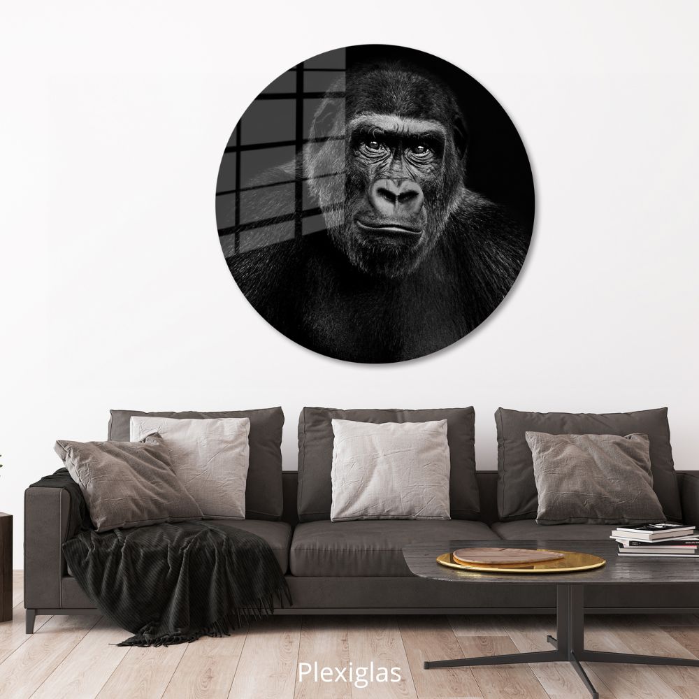  Analyzing image    plexiglas-muurcirkel-aap-woonkamer