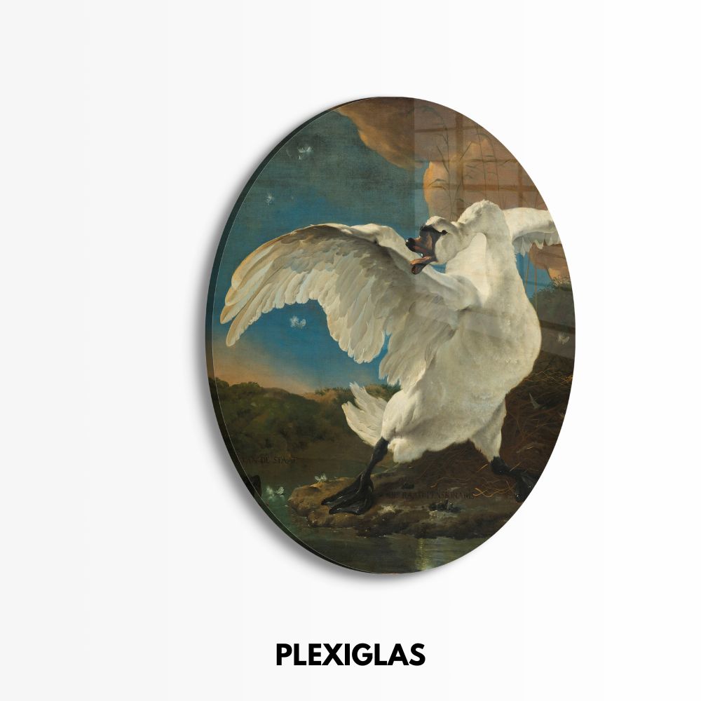 plexiglas-muurcirkel-de-bedreigde-zwaan