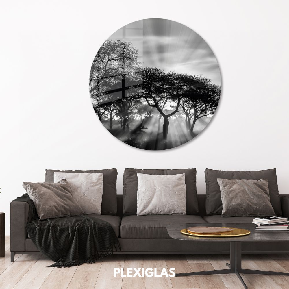 plexiglas-muurcirkel-savanne-zonsondergang-woonkamer