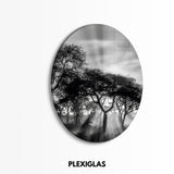 plexiglas-muurcirkel-savanne-zonsondergang