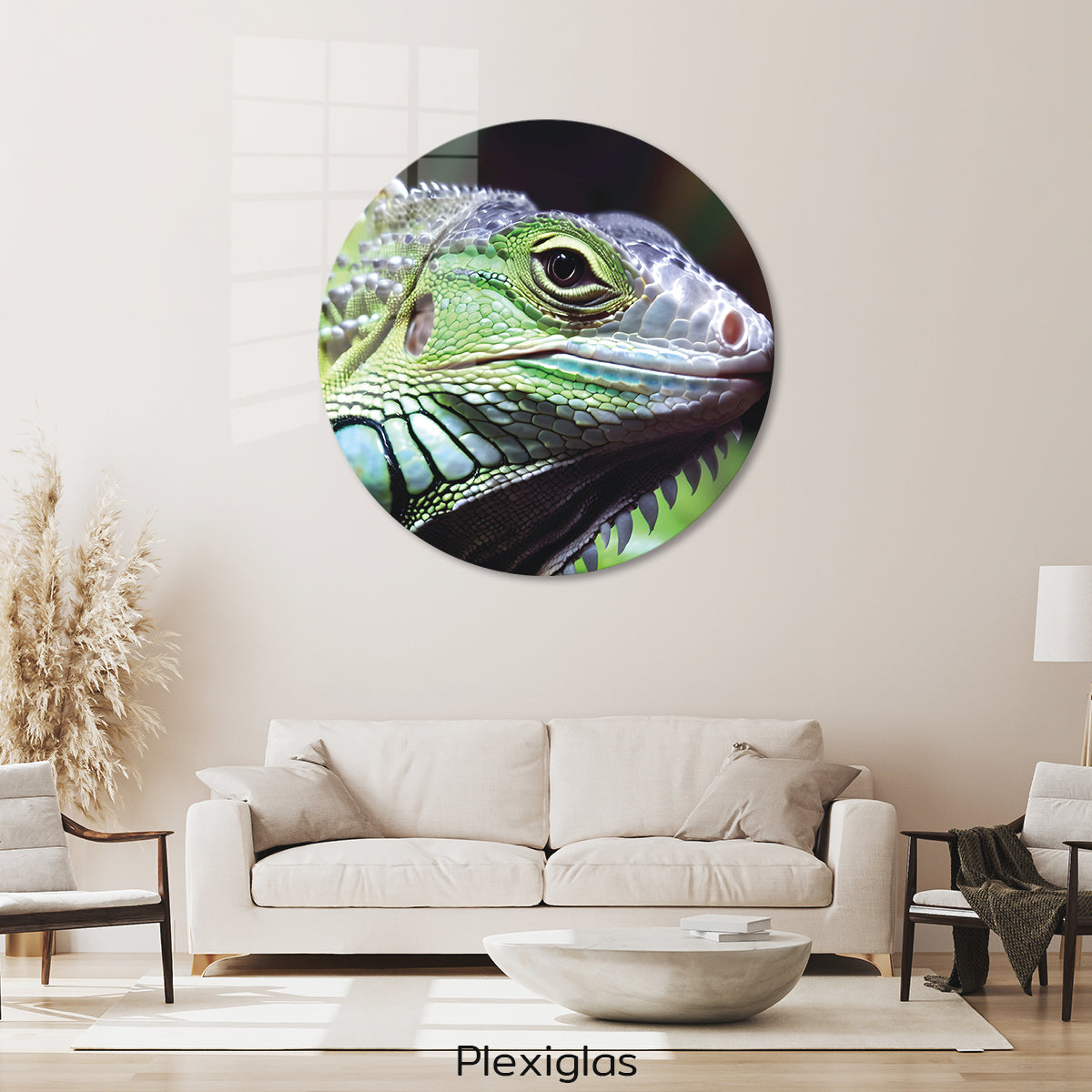 plexiglas-muurcirkel-woonkamer