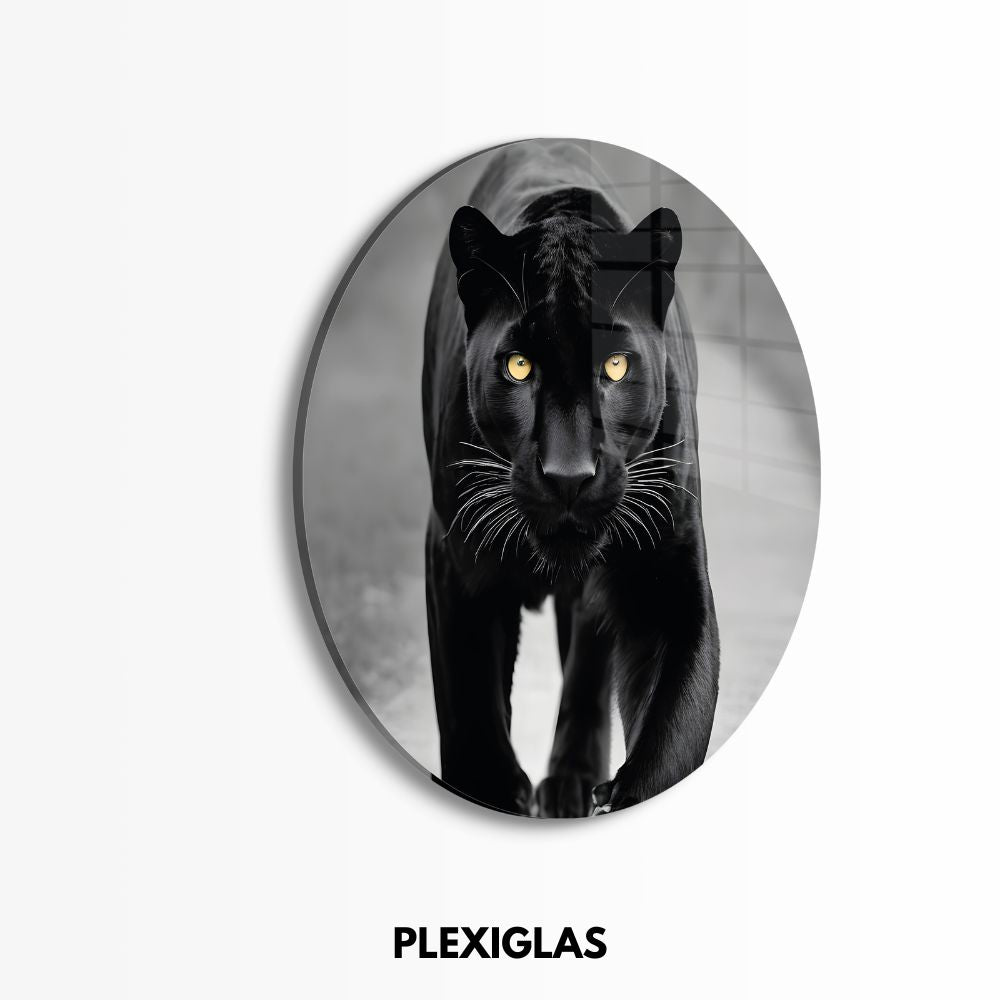 plexiglas-muurcirkel-zwart-panter-gele-ogen